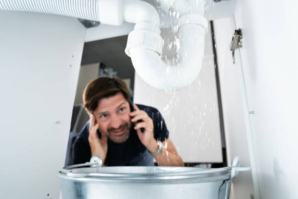Best Emergency Plumbing Repair  in Labelle, FL