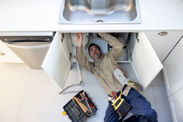 Best Plumbing Inspection Services  in Labelle, FL